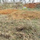 자연보호 헌장비 이미지