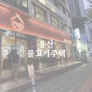 용산-353 | 용산 물고기주택에서 즐긴 회 한 상, 모임하기도 괜찮았어요