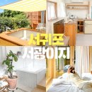 서광이지 이미지