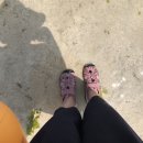 레드페이스제주 이미지