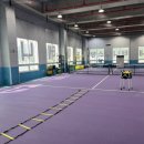 (주)1339구급센터 | [부산 기장] 테니스탑: 부산 테니스 입문자 레슨 맛집 🎾 솔직후기