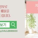 지성공인중개사사무소 이미지