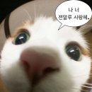 관악로16길 네이버블로그
