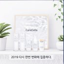 케어셀라 네이버블로그