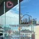 동백로 | [부산] 특별한 날엔 여기📍웨스틴 조선 | 애프터눈티🧁솔직후기 (가격,예약,메뉴 총정리)