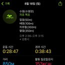 아레나 수영장 이미지