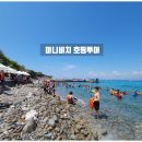 하루 이미지
