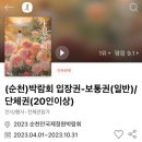 삼성국제여행사 이미지