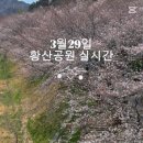 황산공원 캠핑장 일반사이트 이미지