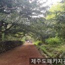 (주)무지개관광 이미지