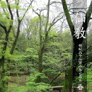 가례(여) 이미지