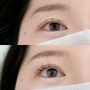 샛별프라자 | 잠실역 속눈썹 연장 편안하고 자연스러운 속눈썹샵 샛별래쉬