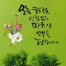 민국 행정사 이미지