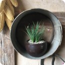 느티나무 민박 이미지