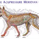 제일메디컬센터 이미지