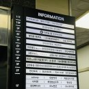 X-FILE PC방 | 주말 저녁, 친구와 함께한 호우양꼬치 마곡발산점