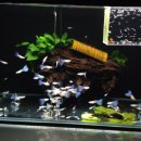 조은사료 이미지