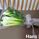 마레미오 이미지