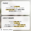 블루마미 이미지