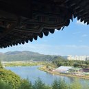 만어로 | 밀양에어비엔비삼랑채/밀양숙소추천/밀양독채펜션숙소추천/밀양영남루후기/밀양마트추천