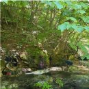 수락폭포 주차장 | 가평 경반 계곡 트레킹 지도 및 계곡 명당자리 수락폭포 안내 2025년 7월초