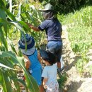 마이산 흑염소 농장 이미지