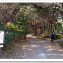 상마약국 이미지