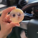 당쟁이로 | 스벅 할로윈음료 바닐라미라크림프라푸치노 마셔본 후기 별3개 적립이벤트중