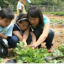 인천농장 이미지