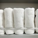 바이오클린 이미지