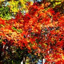 인제2공원 이미지