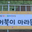 안동체육공원 축구장 이미지