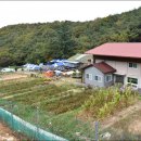 콩각시 농원 이미지