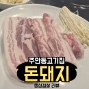 찐돈돼지 이미지