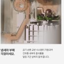 행복한 가정요리 | 미닉스 음식물 처리기 더플렌더 PRO 가정용 분쇄기 건조기 리얼 솔직한 사용 후기