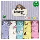 블라썸캣 이미지