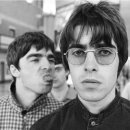 오아시스 이미지