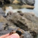 모항펜션 이미지