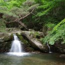 지리산약국 이미지