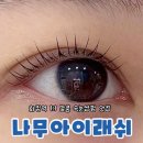 나무아이래쉬