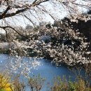 동구리호수공원주차장 이미지