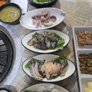 제주촌도야지