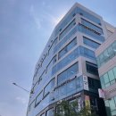 이영수 고양이 병원 이미지