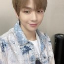 흑산도회 이미지