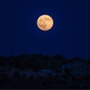 블루문 - 울주군 온양로 162-11 | 블루문