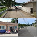 운림경로당 Daum카페