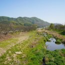 [국도23] 공주시 신기동 이미지