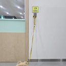 평화광장 2매점 이미지