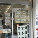 양학약국 이미지