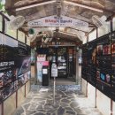 신샘밭로 L 이미지